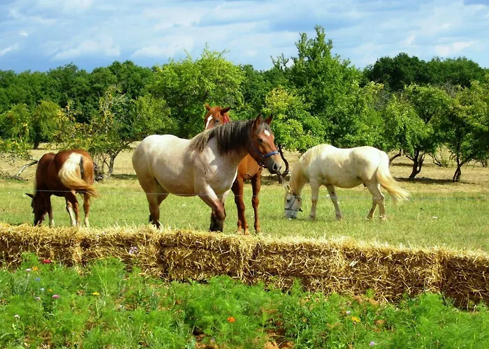 Domaene Mit Jacuzzi By Interhome *